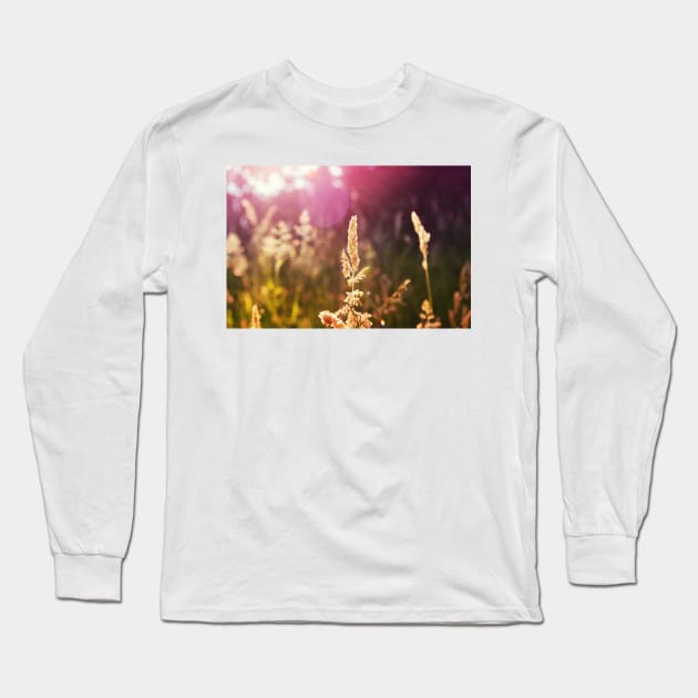 Grass Long Sleeve T-Shirt by Nigdaw